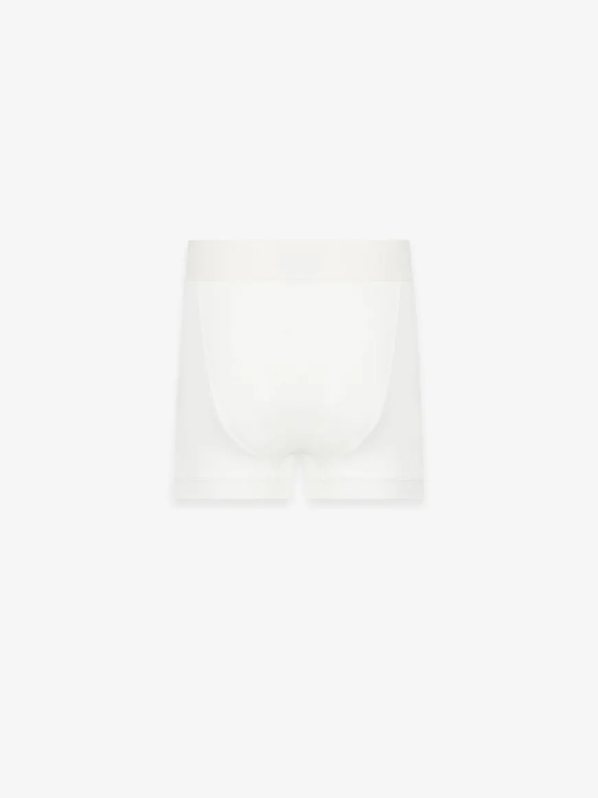 Brief